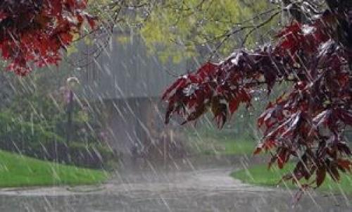 "بارش شدید باران" در انتظار کدام استان‌ها است؟