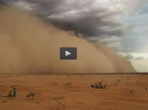  فیلم/ طوفان شن در سیدنی استرالیا