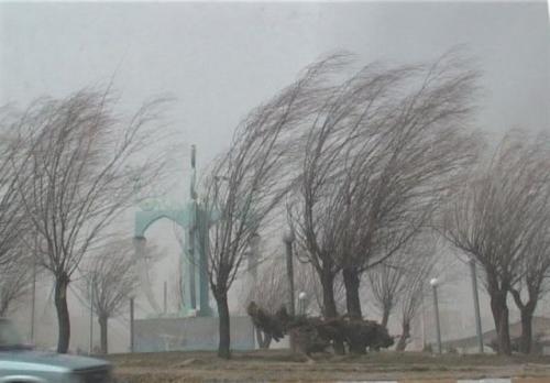 بنا براعللام سازمان هواشناسی/وزش باد نسبتا شدید در تهران 