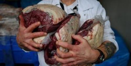  توزیع گوشت منجمد برزیلی متوقف شد
