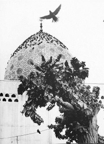 عکس/ امامزاده صالح در دهه ۴۰