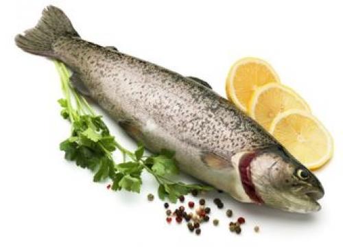 سریع‌ترین راه حل برای درمان تیغ ماهی درگلو 