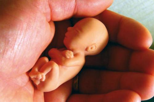 آمار وحشتناک "سقط جنین"درآمریکا 