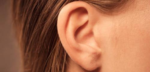 درمان عفونت گوش با یک حبه سیر 