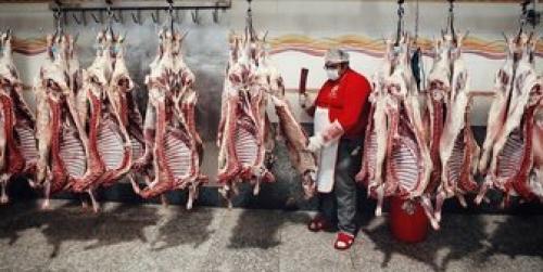 ثبات قیمت در بازار گوشت گوسفندی 