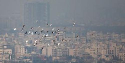 شرط تعطیلی ادارات و دانشگاه‌های تهران در آلودگی هوا 