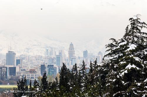 هوای تهران در ۲۴ دی ماه؛ سالم است 