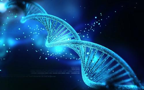 ۱۰ واقعیت عجیب، اما واقعی در مورد DNA انسان 