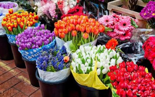 جزئیاتی از وضعیت بازار گل در آستانه روز زن 