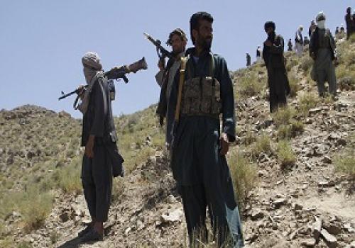 طالبان دستور توقف تمامی حملات را صادر کرد 
