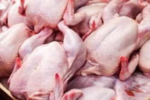 افت چنددرصدی مصرف مرغ در بازار