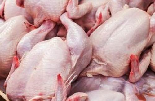  استمرار روند افزایشی قیمت مرغ در بازار