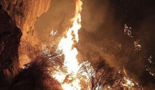  رابطه بین رانت و آتش‌های جنگل زاگرس +عکس