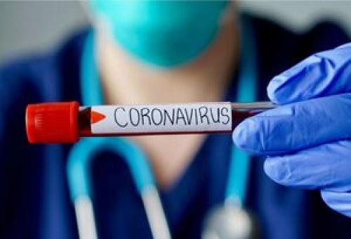 کلیه، کبد و قلب در معرض خطر ویروس کرونا 
