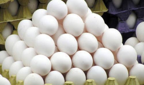  تخم مرغ ۳۰ هزار تومانی قابل قبول نیست 