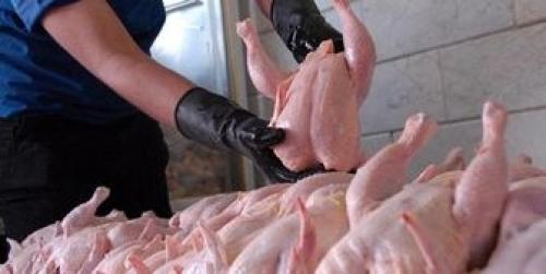 افزایش قیمت مرغ با نزدیک شدن ماه محرم 