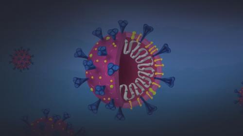 اینفوگرافی| علائم اصلی کرونا، آلرژی، سرماخوردگی و آنفلوآنزا در یک نگاه