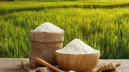  عرضه برنج تنظیم بازاری از فردا