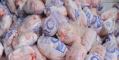  ۵٠٠ تن مرغ منجمد در ایلام توزیع شد