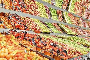  میوه‌های پاییزی به بازارآمد اما قیمت پایین نیامد