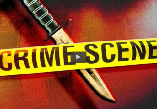  فیلم/ حمله با چاقو در کالیفرنیا با ۲ کشته