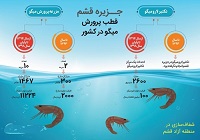 اینفوگرافی / جزیره قشم قطب پرورش میگو در کشور اینفوگرافی / جزیره قشم قطب پرورش میگو در کشور