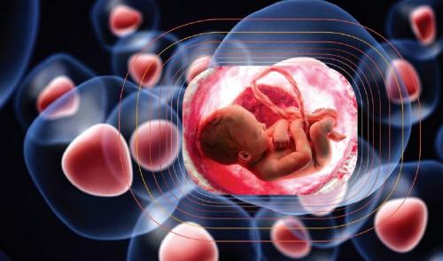  اینفوگرافی | چرا ذخیره خون بند ناف نوزاد اهمیت دارد؟