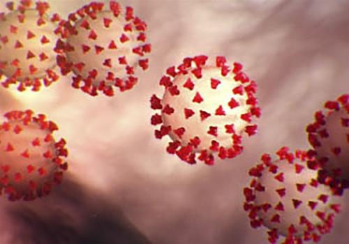 چین بار دیگر نشت ویروس کرونا از آزمایشگاه ووهان را رد کرد
