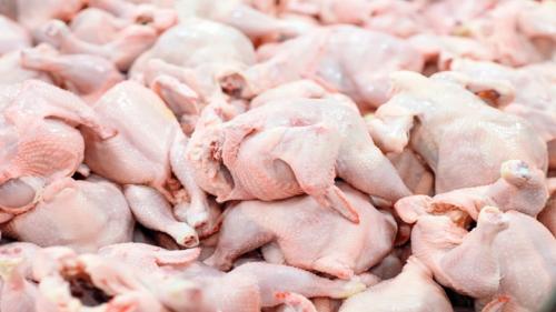  افزایش قیمت مرغ در بازار
