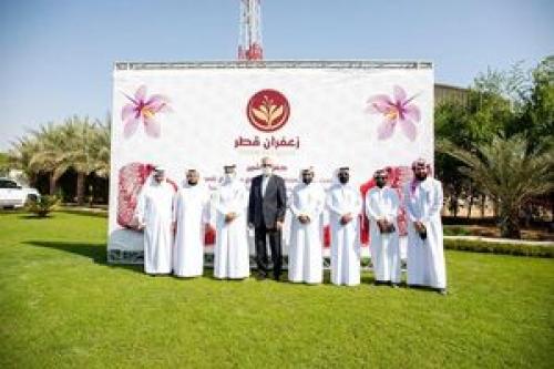 «زعفران قطری» جدیدترین شاهکار دولت