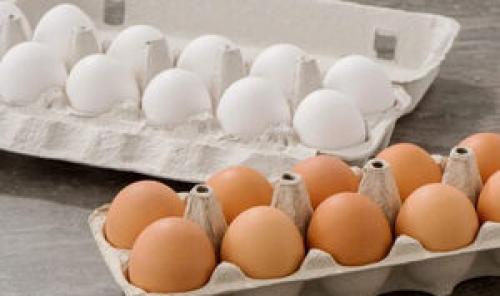  چگونه از آلودگی تخم مرغ جلوگیری کنیم