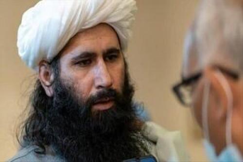  طالبان در حال بررسی طرح پیشنهادی آمریکا