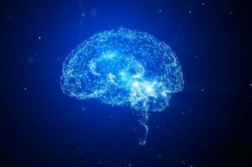 تغییر در فعالیت مغز با التهاب سینوسی