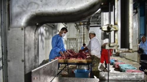توزیع گوشت تنظیم بازاری برای ماه رمضان شروع شد