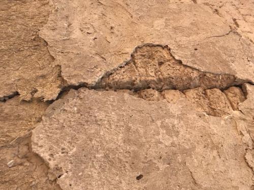 زمین لرزه  ۴.۴ ریشتری حوالی بندر گناوه در استان بوشهر را لرزاند