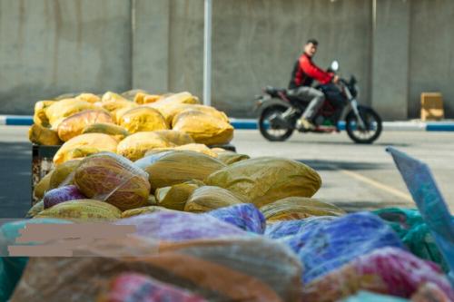  کشف ۱۰۰۰ کیلو تریاک در شیراز