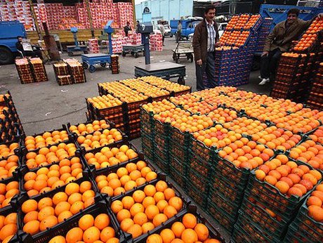 فاسد شدن ۳۰ هزار تنی پرتقال شب عید فاسد شدن ۳۰ هزار تنی پرتقال شب عید