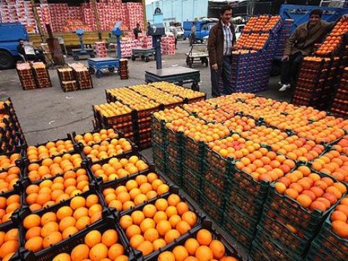 فاسد شدن ۳۰ هزار تنی پرتقال‌ شب عید