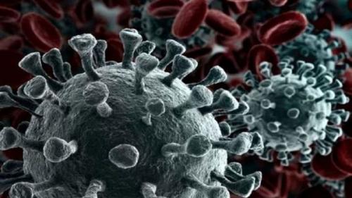 کشفی جدید و باورنکردنی از دانشمندان درباره ویروس کرونا 