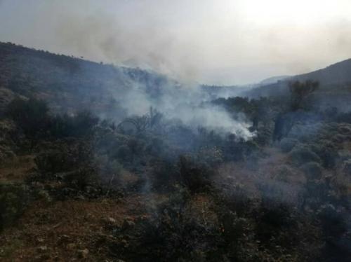 ادامه آتش سوزی در ارتفاعات دشتستان 