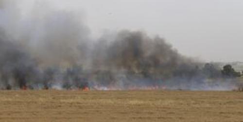  آتش سوزی، حرکت قطارها در شمال اسراییل را متوقف کرد