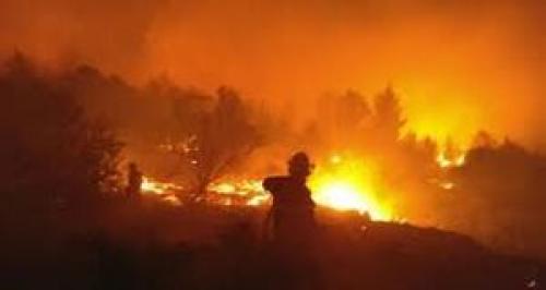  آتش سوزی در شهرک صهیونیست نشین «گوش عتسیون»