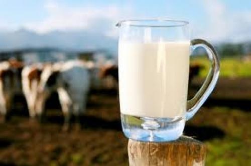  افزایش ۸۸ درصدی قیمت شیرخام در ۲ سال گذشته