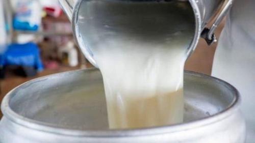  علت افزایش قیمت شیر خام