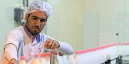  افزایش ۷۰ درصدی قیمت لبنیات در دولت روحانی