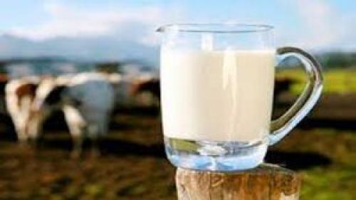  قیمت انواع شیر پاستوریزه در بازار +جدول