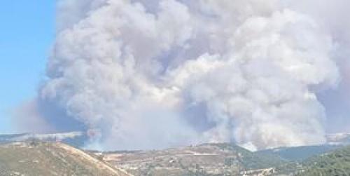 آتش‌سوزی بزرگ در جنگل‌های شمال لبنان 