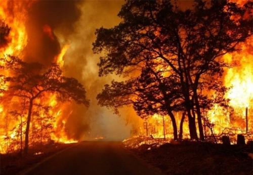  فیلم/ آتش به جنگل های یونان رسید