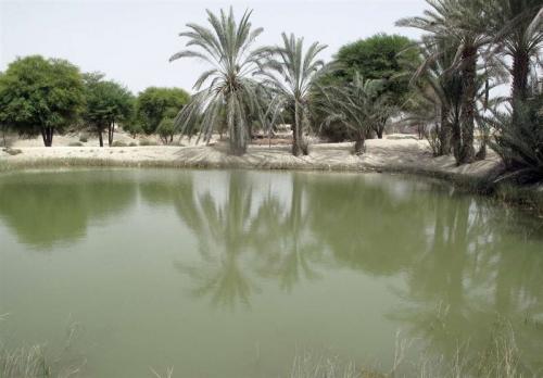 «معجزه آبخیزداری»|هوتک ها؛ سامانه های ارزشمند آبگیر باران در جنوب ایران/ ضرورت سازماندهی ۲۰۰۰ هوتک