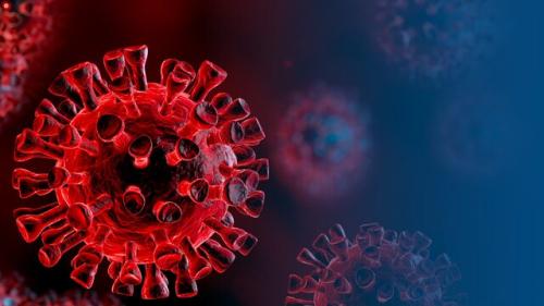  آینده ویروس کرونا چه می‌شود؟ 